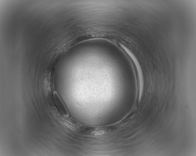 X0000054370604200508051557