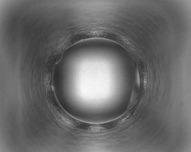 X0000054370605200508051557