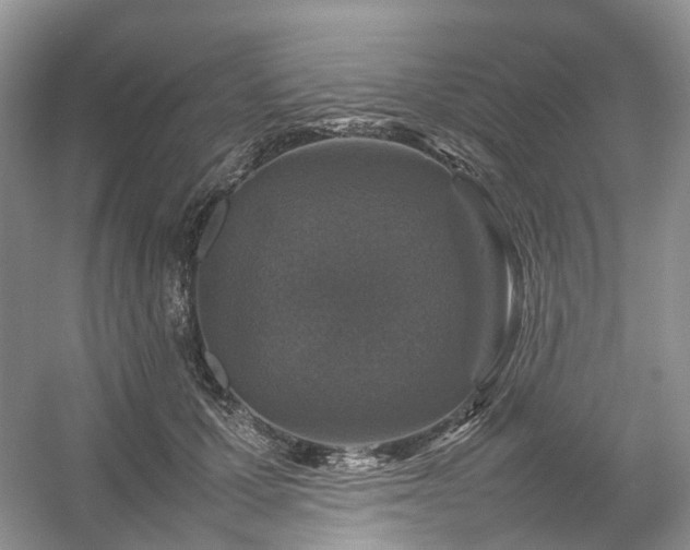 X0000054370607200508051557