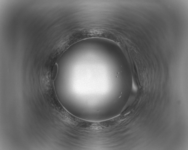 X0000054370608200508051557