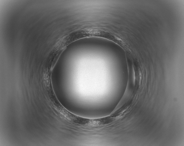 X0000054370609200508051557