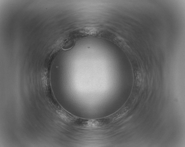 X0000054370612200508051557