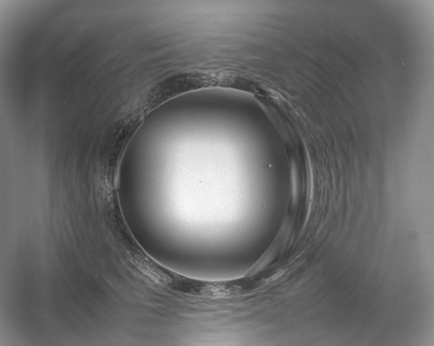 X0000054370613200508051557