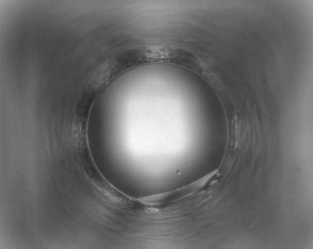 X0000054370614200508051557