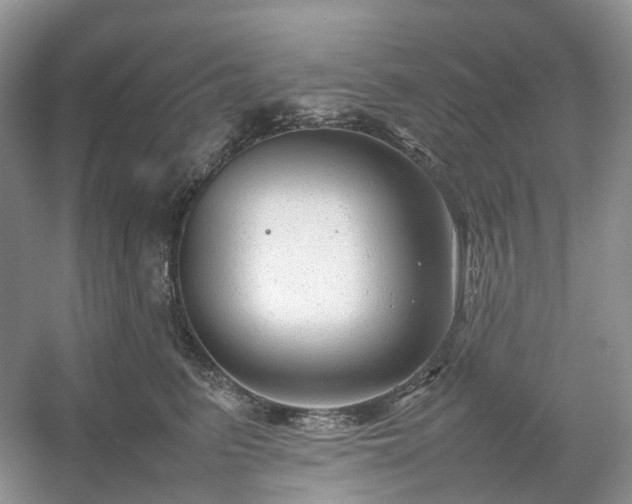 X0000054370615200508051557