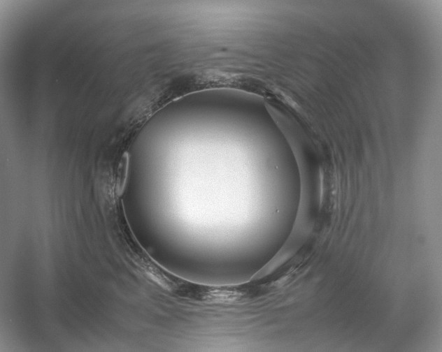 X0000054370617200508051557