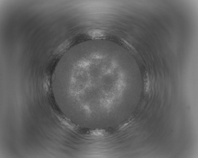 X0000054370618200508051557