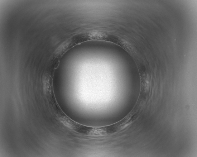 X0000054370619200508051557