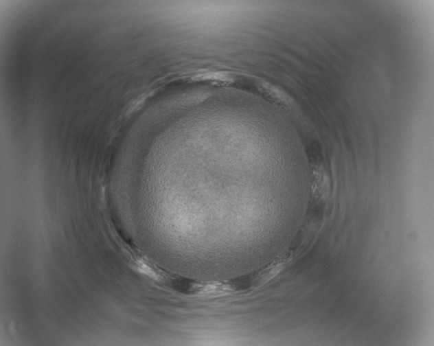 X0000054370621200508051557