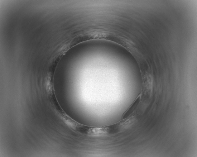 X0000054370622200508051557