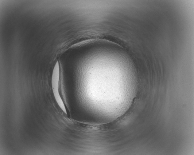 X0000054370624200508051556