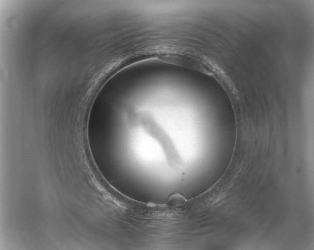 X0000054370625200508051556