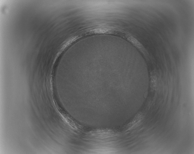 X0000054370626200508051556