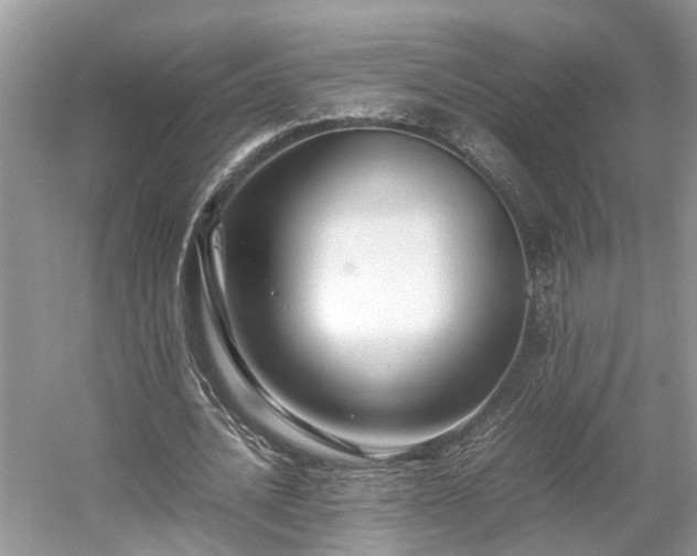 X0000054370628200508051556