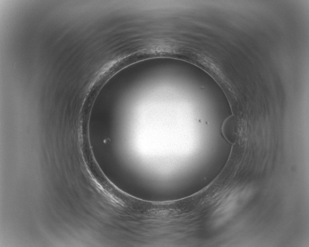 X0000054370629200508051556