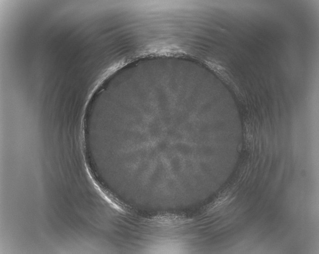 X0000054370630200508051556