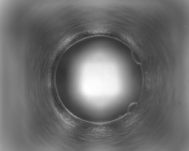 X0000054370631200508051556