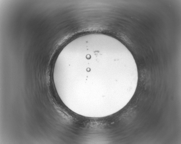 X0000054370632200508051556