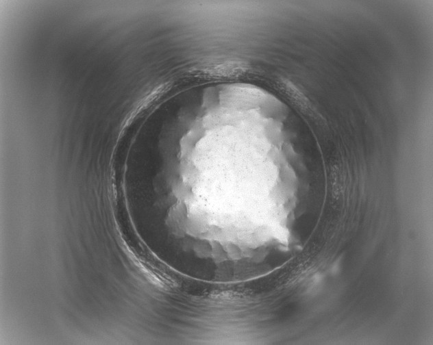 X0000054370634200508051556