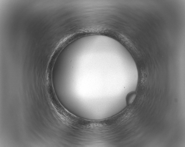 X0000054370636200508051556