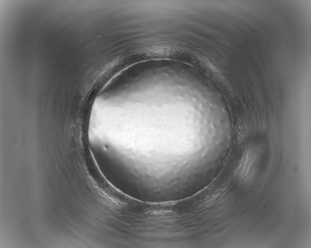 X0000054370637200508051556