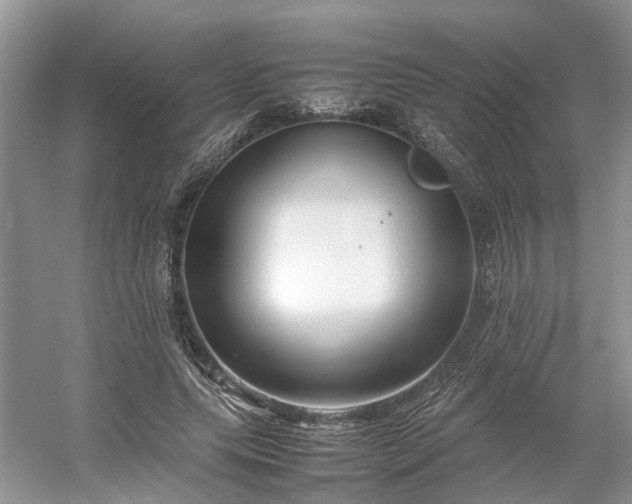 X0000054370639200508051556