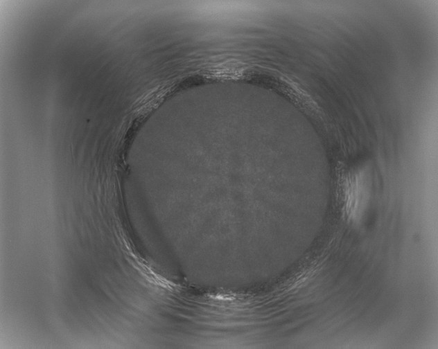 X0000054370641200508051556