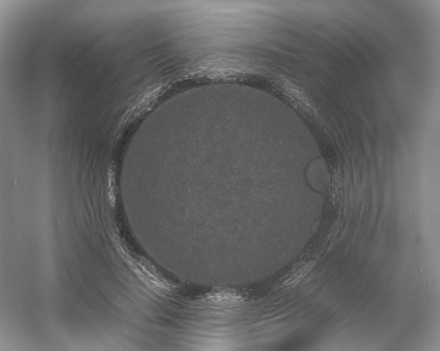 X0000054370644200508051556