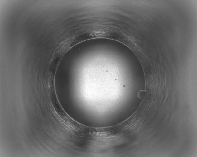 X0000054370645200508051556