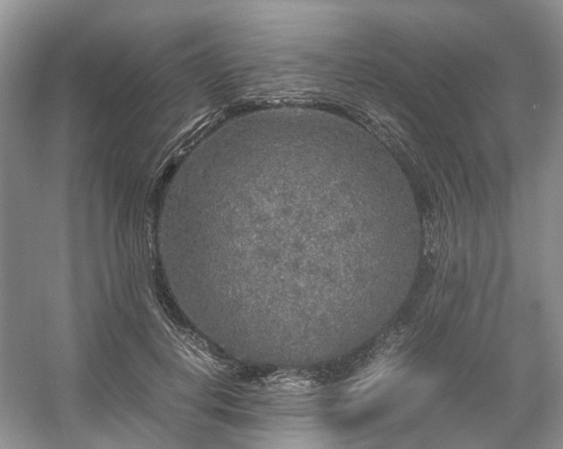 X0000054370648200508051556