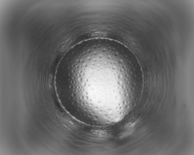 X0000054370649200508051556