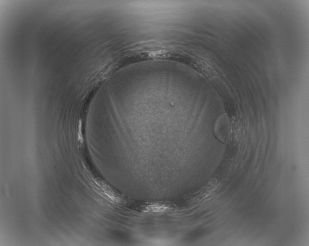 X0000054370650200508051556