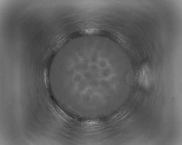 X0000054370651200508051556