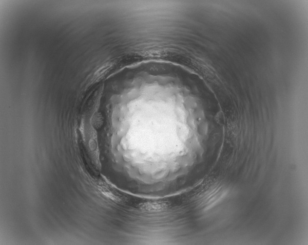 X0000054370652200508051556