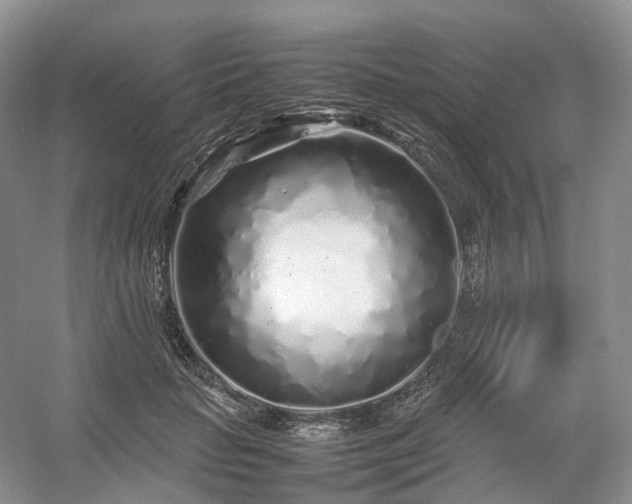 X0000054370653200508051556