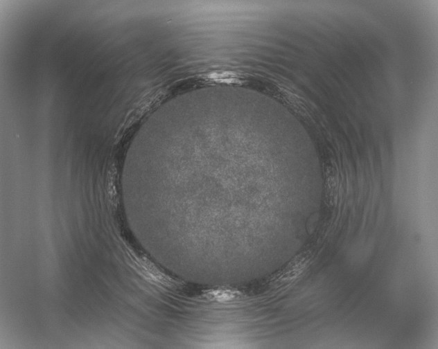 X0000054370654200508051556