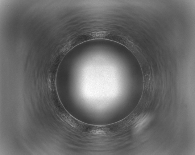 X0000054370655200508051556