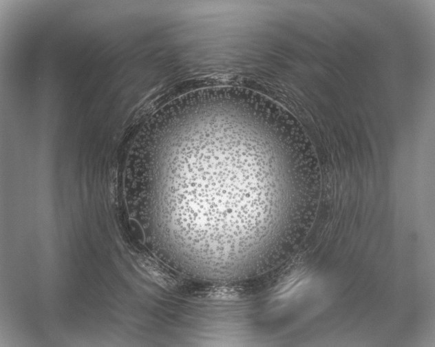 X0000054370656200508051556