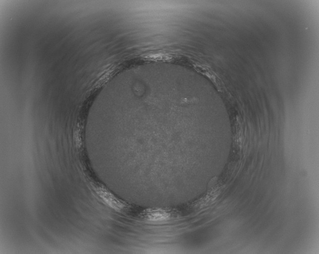 X0000054370658200508051556