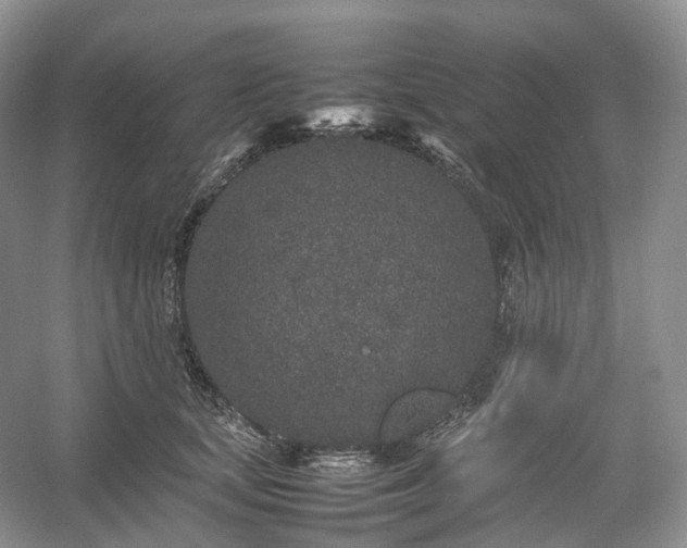 X0000054370659200508051556