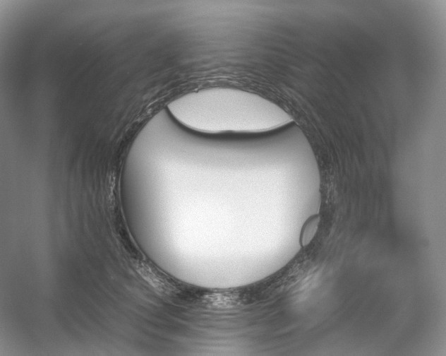 X0000054370660200508051556