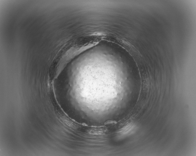 X0000054370661200508051556