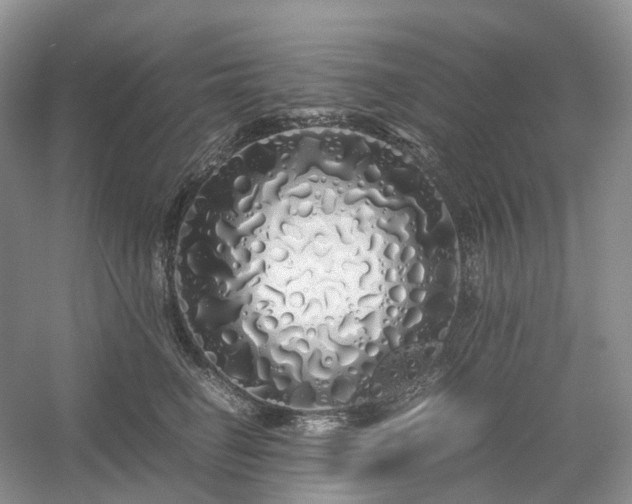 X0000054370662200508051556