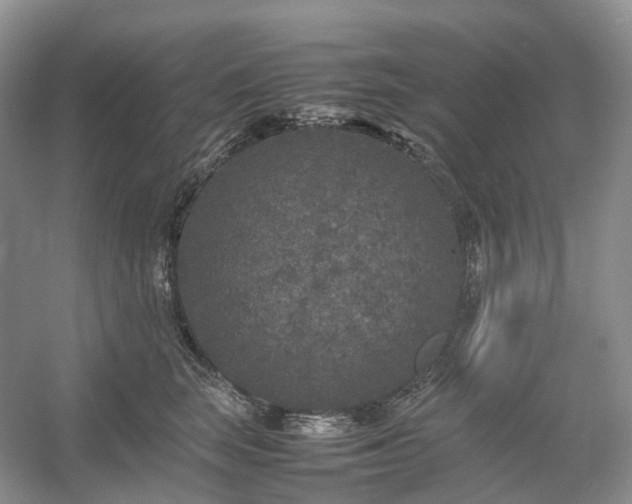 X0000054370663200508051556