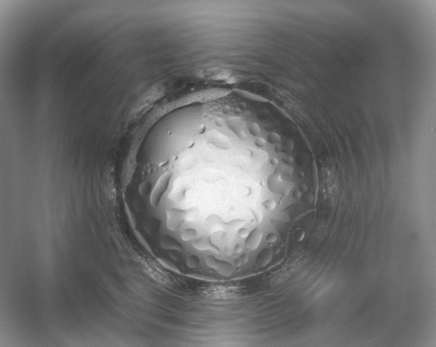 X0000054370664200508051556