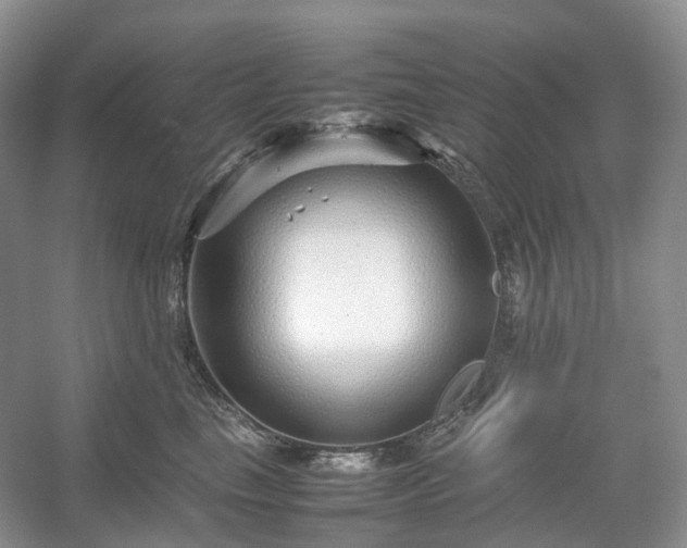 X0000054370665200508051556