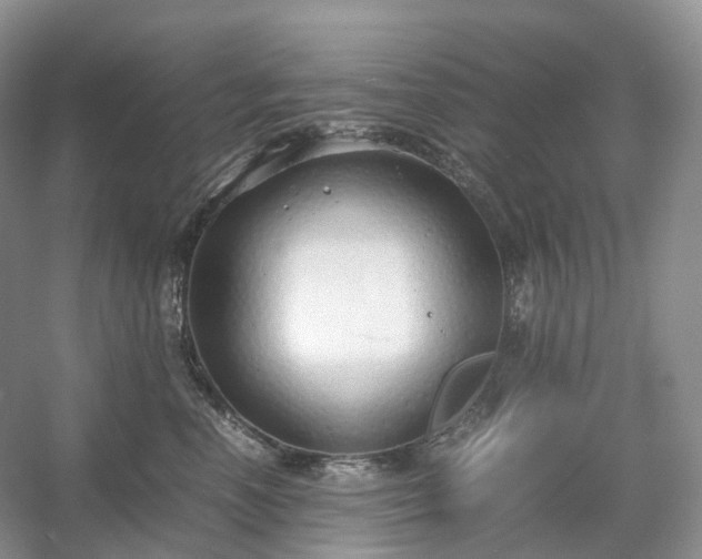 X0000054370666200508051556