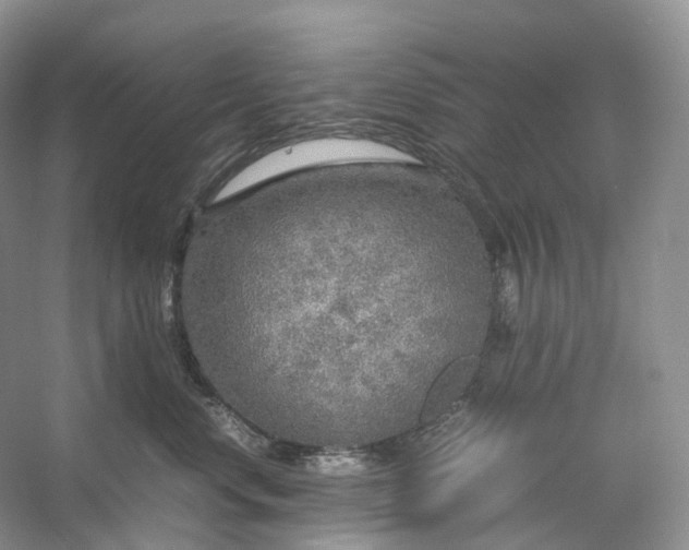 X0000054370668200508051556