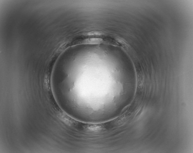 X0000054370669200508051556