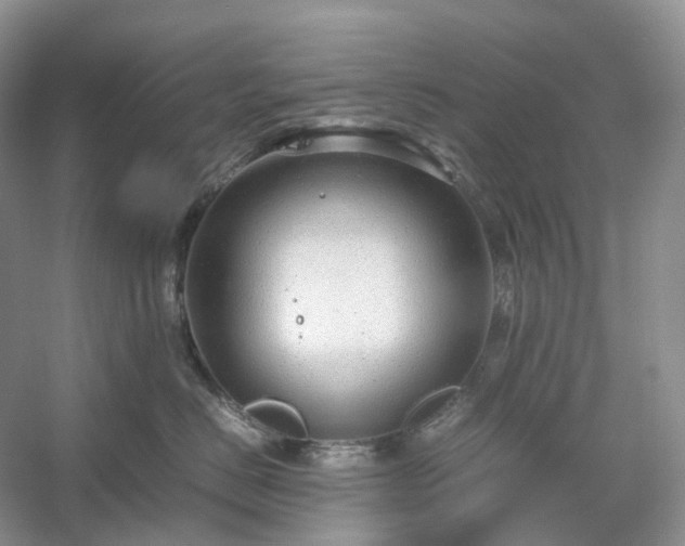 X0000054370670200508051556